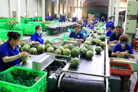 预期2023年最后两个月果蔬出口额可达12亿美元