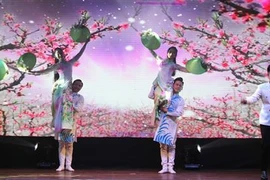 越南“家乡之歌”文艺晚会亮相捷克