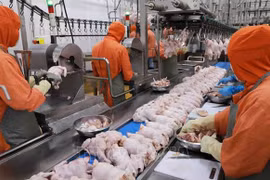 越南传统食品的出口空间越来越广阔