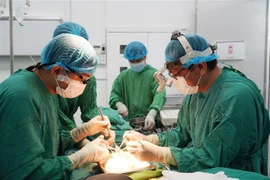 大水镬医院和越德医院的医师队伍努力进行器官移植