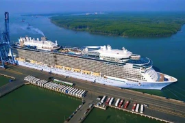载有3800多名国际游客的世界十大邮轮停靠巴地头顿省