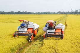 越南走向绿色农业