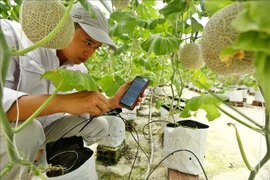 引导企业快速适应动植物检疫法规