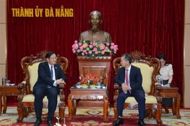 增加越南岘港飞往马来西亚的航班 促进双方旅游投资和民间交流
