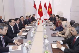 越南国会主席王廷惠与印尼国会议长普安·马哈拉尼举行会谈