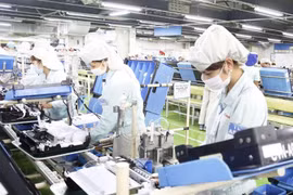 荷兰王国首相对越南进行正式访问：推动越南与荷兰两国合作关系迈上新台阶