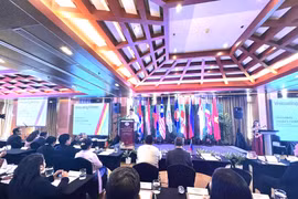 越南国家审计代表团出席在菲律宾举行的ASEANSAI理事会第七次大会