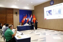 越南大学生参加为湄公河寻求现代监测技术竞赛