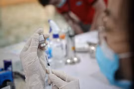 1月31日越南新增新冠肺炎确诊病例36例 无新增死亡病例