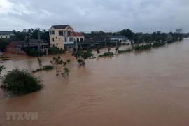 厄尔尼诺现象导致越南降雨量减少 台风突然来袭