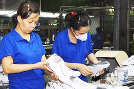 助推越南商品出口