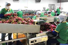 农产品出口须满足食品安全和动植物检疫要求