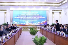 外资企业就优化胡志明市投资环境建言献策