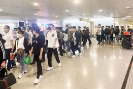 菲律宾警方在一赌场解救越南公民一案：首批60名越南公民已回国