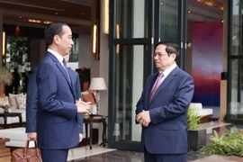 第42届东盟峰会：越南政府总理范明政会见印尼总统佐科·维多多