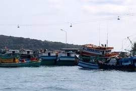 金瓯省严控渔民海上捕捞活动