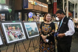 “佛教与和平”图片展在胡志明市开展
