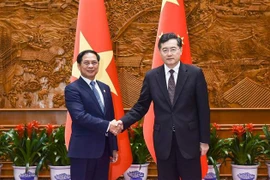 越中外长讨论促进双边关系的措施