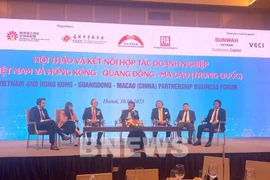 进一步加强越南与粤港澳大湾区企业之间的合作交流