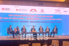 进一步加强越南与粤港澳大湾区企业之间的合作交流
