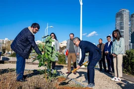 纪念越以建交30周年植树仪式在以色列阿斯多德市举行 