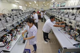 胡志明市不断加大投资力度 使科技真正成为该市的发展动力