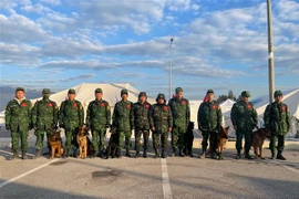 土耳其和叙利亚强震：越南人民军嗅探犬队的卓越战绩