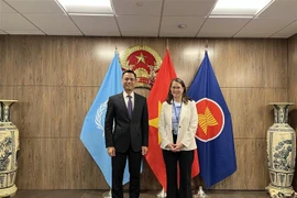 加拿大愿与越南加强应对气候变化领域的合作关系