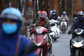 越南北部和北中部遭遇寒冷天气袭击