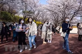 越南游客在韩出手最大方