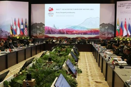 印度尼西亚呼吁东盟支持缅甸寻求和平措施 