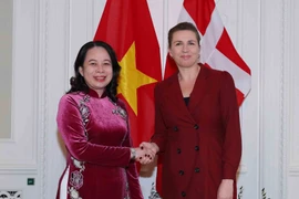 国家副主席武氏映春对丹麦和挪威的访问之旅取得圆满成功