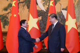许利平教授：加强政治互信 提升越南国际形象