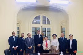巩固和加强越南与多米尼加合作关系