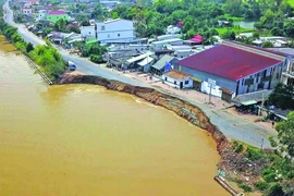 评估九龙江三角洲地区5省河岸海岸塌方程度