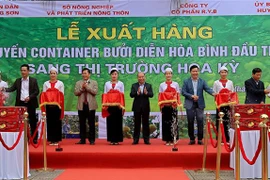 和平省向美国市场出口首批柚子