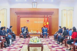 越南莱州省加强与印度各地的合作关系