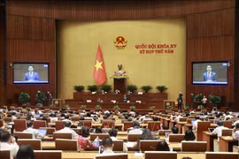 越南第十五届国会第五次会议新闻公报（第二十号）