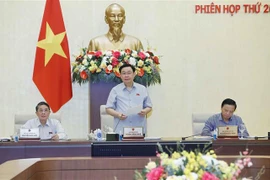越南国会常务委员会第二十六次会议拉开序幕 国会主席王廷惠主持开幕式