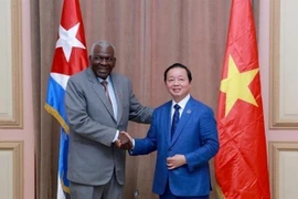 越南政府副总理陈红河会见古巴领导人