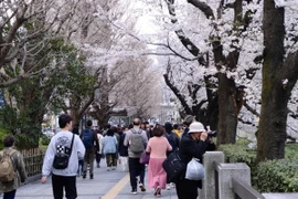 越南与日本合作解决景区超载问题