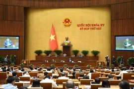 十五届国会六次会议：对政府成员进行质询和回答质询活动