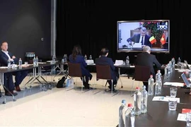 经济外交：向比利时企业推广平定省投资潜力