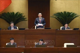 越南第十五届国会第六次会议：跟踪督办抓落实