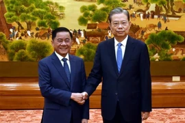 中国全国人大常委会委员长赵乐际会见越共代表团