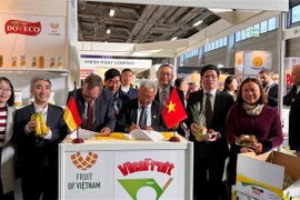 经济外交：越南企业参加世界最大的新鲜果蔬展