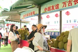 芒街-东兴贸易额预计超过疫情前水平