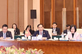 越南外交部长裴青山出席澜沧江—湄公河合作第八次外长会
