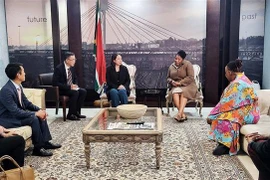 越南国家副主席武氏映春对南非共和国进行正式访问