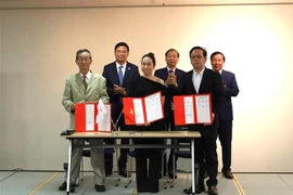越日关系50周年：促进越南与日本之间的合作和投资促进活动